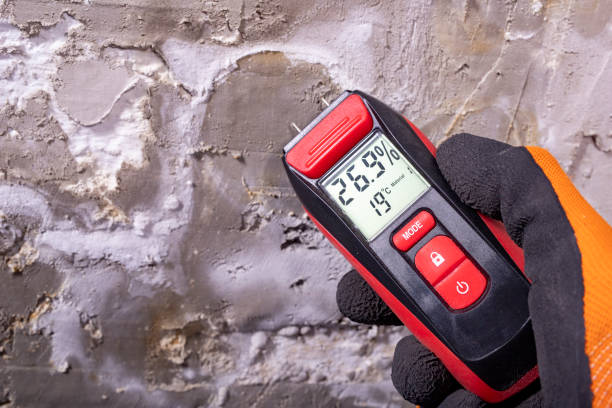 Best HVAC Mold Remediation in Fincastle, TN