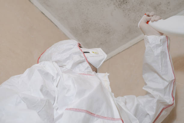 Best Attic Mold Remediation in Fincastle, TN
